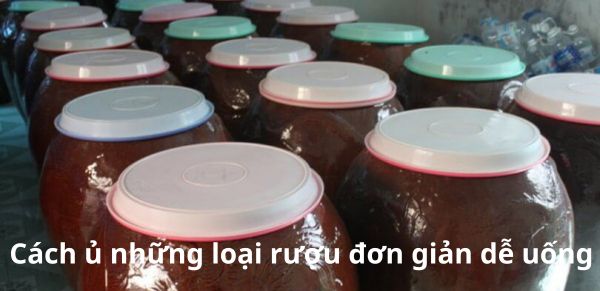 Cách ủ những loại rượu đơn giản dễ uống