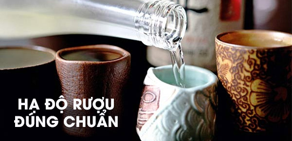 Cách hạ độ rượu chuẩn nhất dành cho các đơn vị nấu rượu để kinh doanh