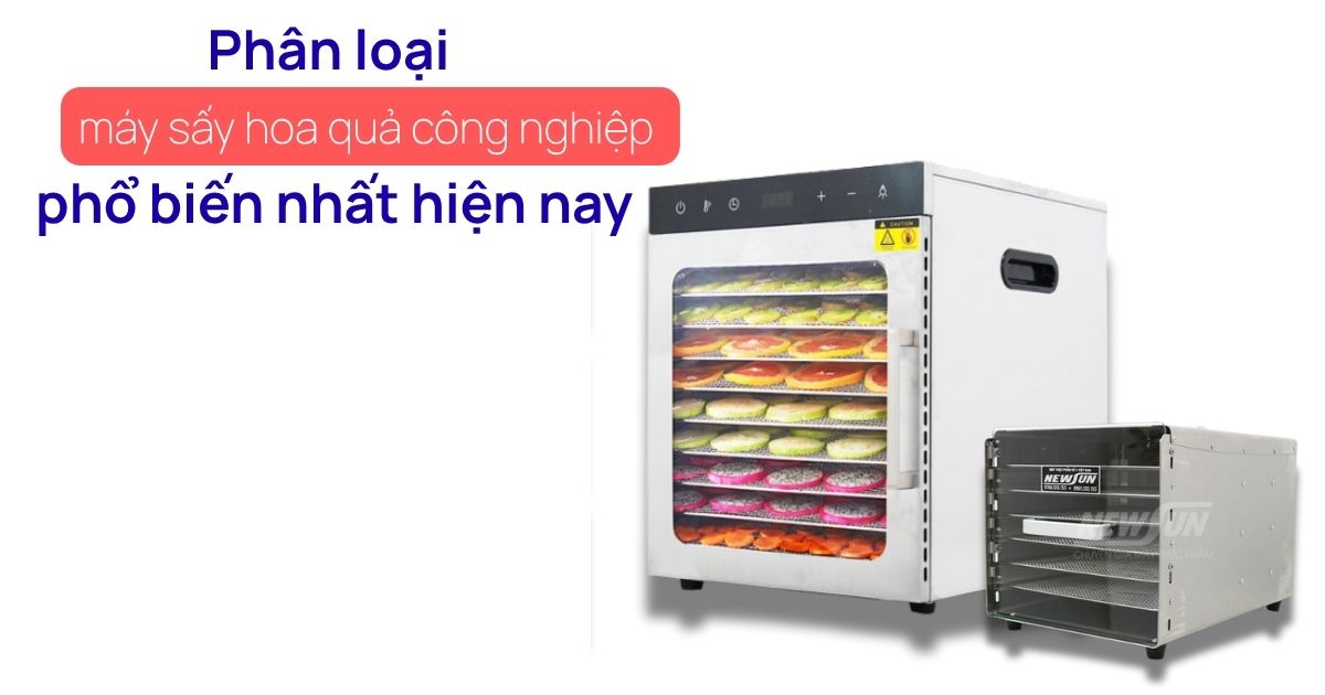 Phân loại máy sấy hoa quả công nghiệp phổ biến nhất hiện nay