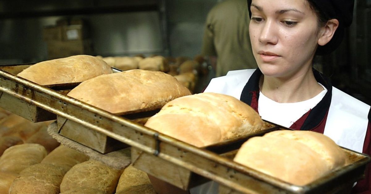Quy trình sản xuất bánh mì tiêu chuẩn quy mô công nghiệp