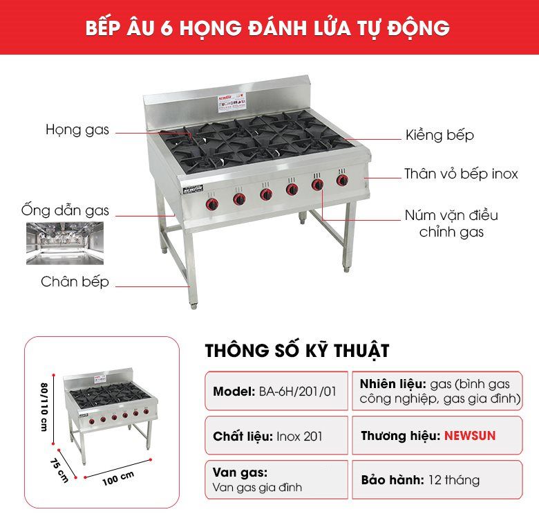 Cấu tạo Bếp âu 6 họng đánh lửa tự động