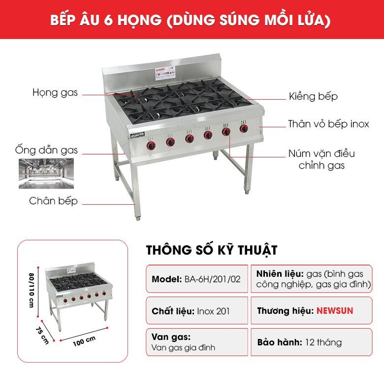 Cấu tạo bếp âu 6 họng (dùng súng mồi lửa)