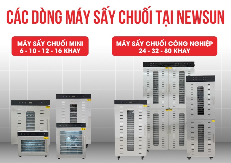 Nhiều dòng máy sấy chuối với các mức năng suất khác nhau Nhiều dòng máy sấy chuối với các mức năng suất khác nhau