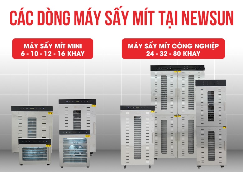 Có rất nhiều dòng máy sấy mít với các mức năng suất khác nhau Có rất nhiều dòng máy sấy mít với các mức năng suất khác nhau