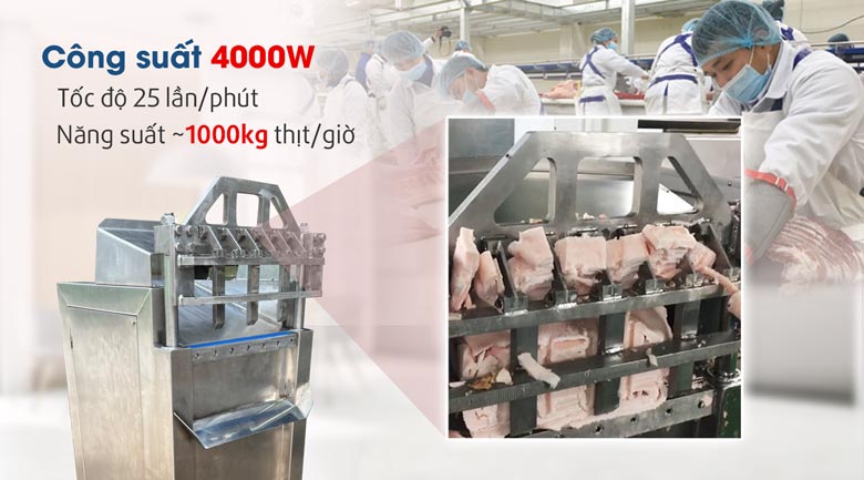 Máy chặt thịt, mỡ đông lạnh công nghiệp (nhập khẩu)