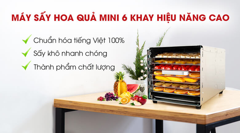 Máy sấy hoa quả hiệu năng cao mini 6 khay