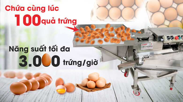 Máy tách lòng đỏ trứng gà DV-1 (3000 trứng/h) năng suất cao