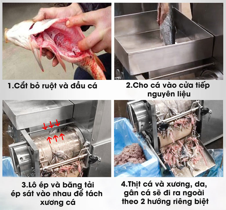 Quy trình tách xương cá bằng máy tách xương cá
