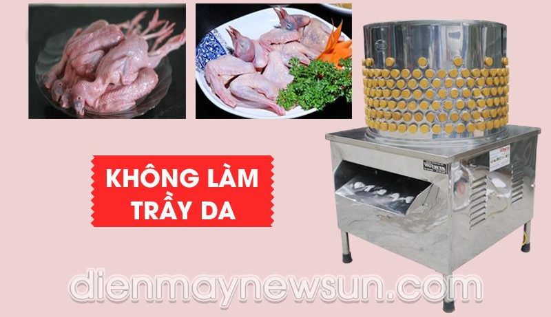Máy vặt lông chim cút, chim câu Máy vặt lông chim cút, chim câu