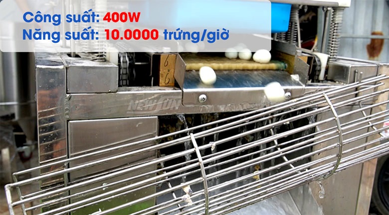 Năng suất lột vỏ 10.000 quả trứng cút/giờ, tương đương 150kg trứng