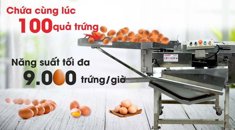 Máy tách lòng đỏ trứng gà DV-3 (9000 trứng/h) năng suất cao