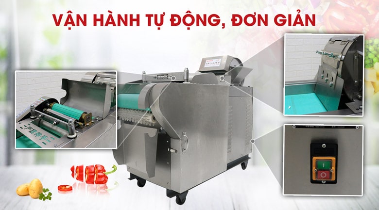 Máy thái rau củ công nghiệp YQC1000 vận hành đơn giản, tự động