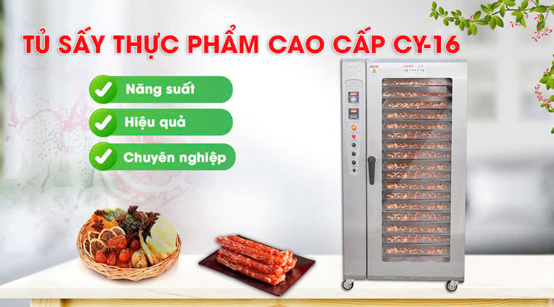 Tủ sấy thực phẩm CY-16 NEWSUN - Công nghệ sấy đối lưu hiện đại Tủ sấy thực phẩm CY-16 NEWSUN - Công nghệ sấy đối lưu hiện đại