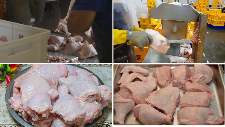 Thành phẩm thực tế khi sử dụng máy cắt thịt gà vịt nguyên con QH-200