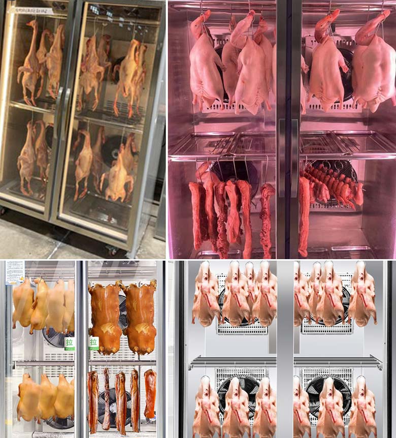 Hình ảnh sấy gà vịt thực tế của tủ sấy gà vịt trước khi quay NEWSUN