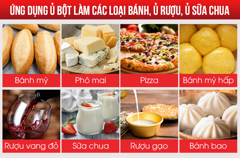 Tủ ủ bột sử dụng để ủ đa dạng các loại bột bánh, thực phẩm