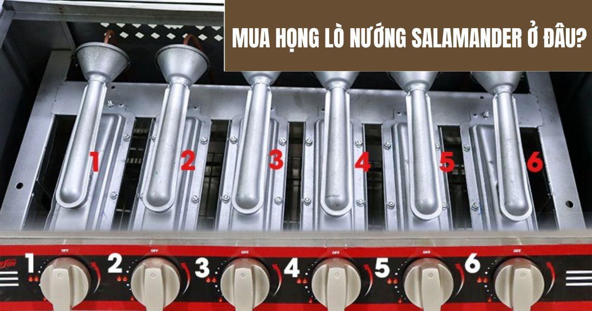 Thay họng lò nướng salamander ở đâu?