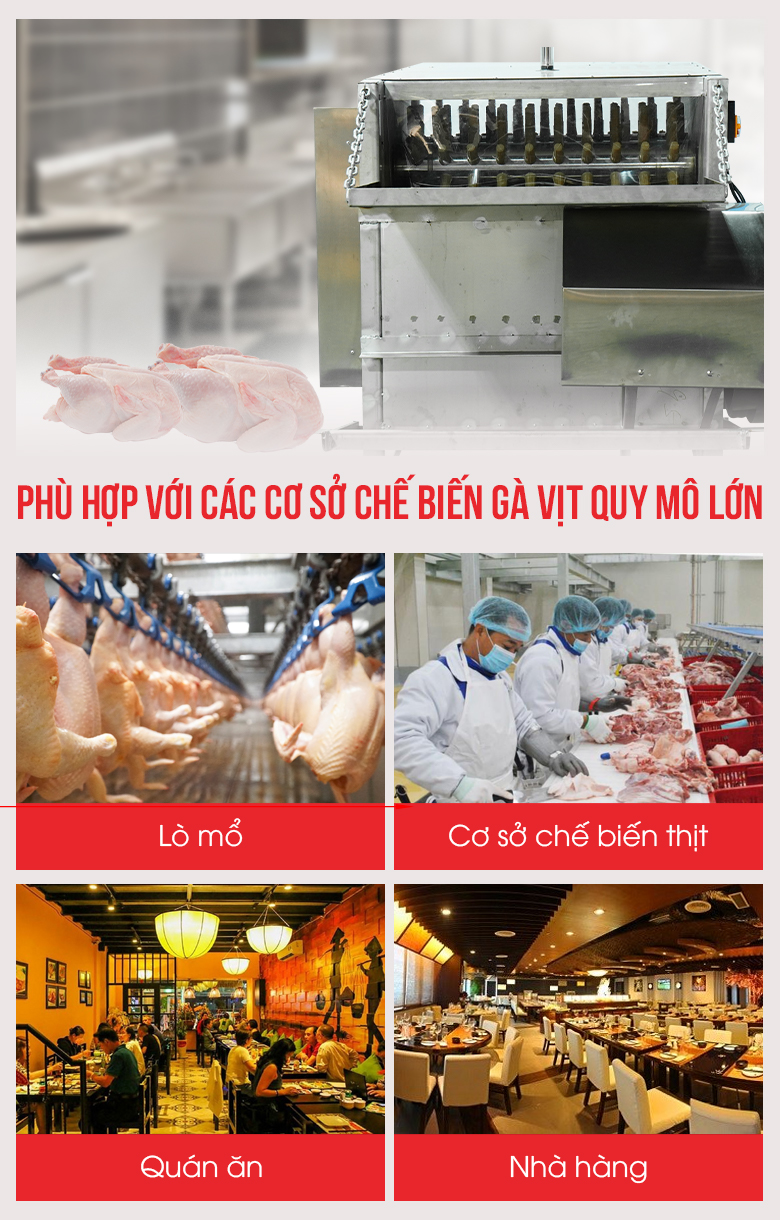 Đơn vị phù hợp sử dụng máy vặt lông gà vịt liên hoàn 7 trục