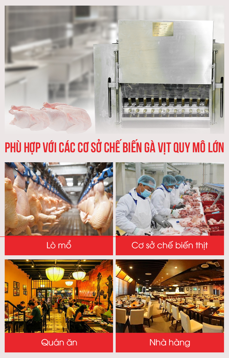 Đơn vị phù hợp sử dụng máy vặt lông gà vịt liên hoàn 9 trục