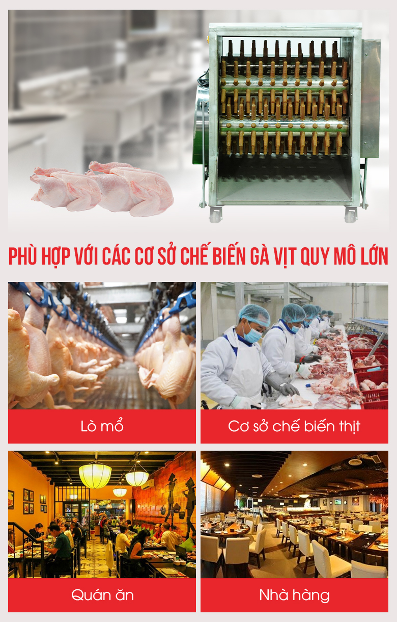 Đơn vị phù hợp sử dụng máy vặt lông gà vịt liên hoàn 5 trục