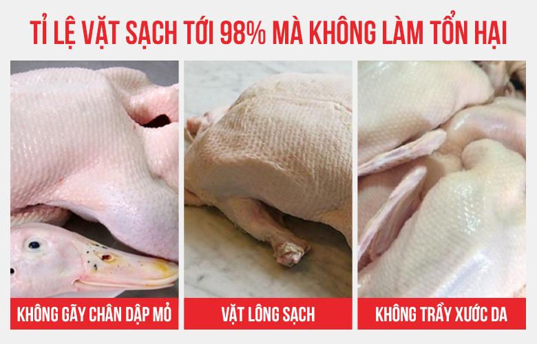 Vặt sạch lông gà vịt tới 98%