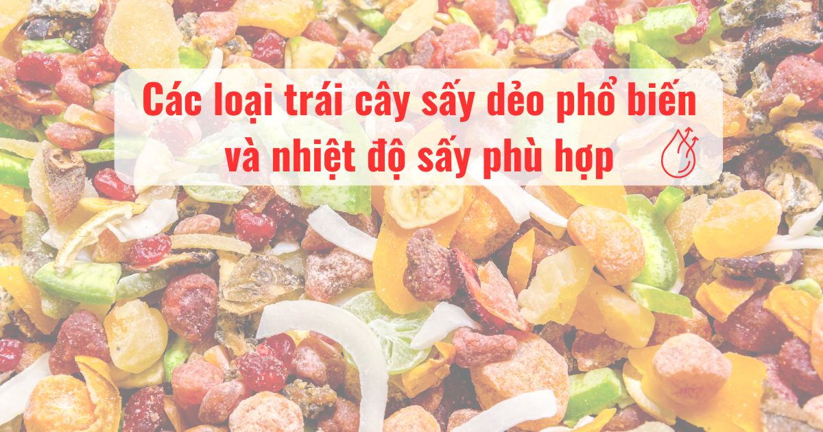 Các loại trái cây sấy dẻo phổ biến và nhiệt độ sấy phù hợp