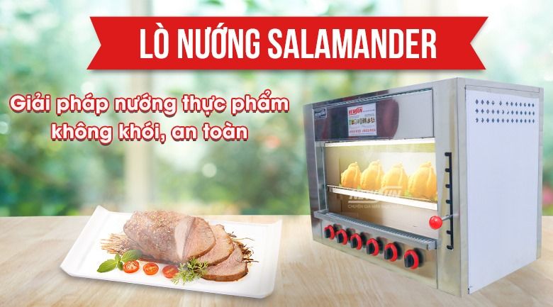 lò nướng salamander Hồ Chí Minh 1