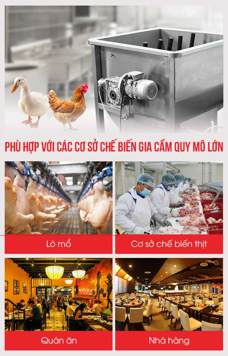 Máy nhúng gia cầm tự động phù hợp sử dụng đối với các cơ sở chế biến gia cầm quy mô lớn