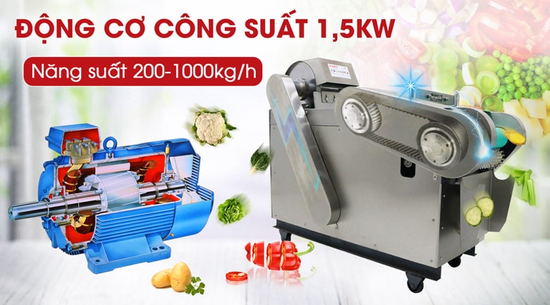 Động cơ công suất 1,5kW cho năng suất lên tới 1000kg/h