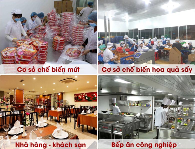 Máy cắt rau củ đa năng HE300N phù hợp với nhiều cơ sở kinh doanh