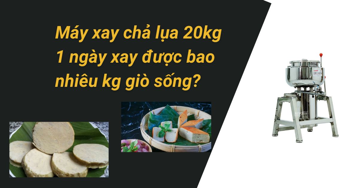 Máy xay chả lụa 20kg 1 ngày xay được bao nhiêu kg giò sống?