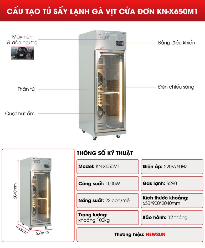 Cấu tạo của tủ sấy lạnh gà vịt cửa đơn KN-650M1