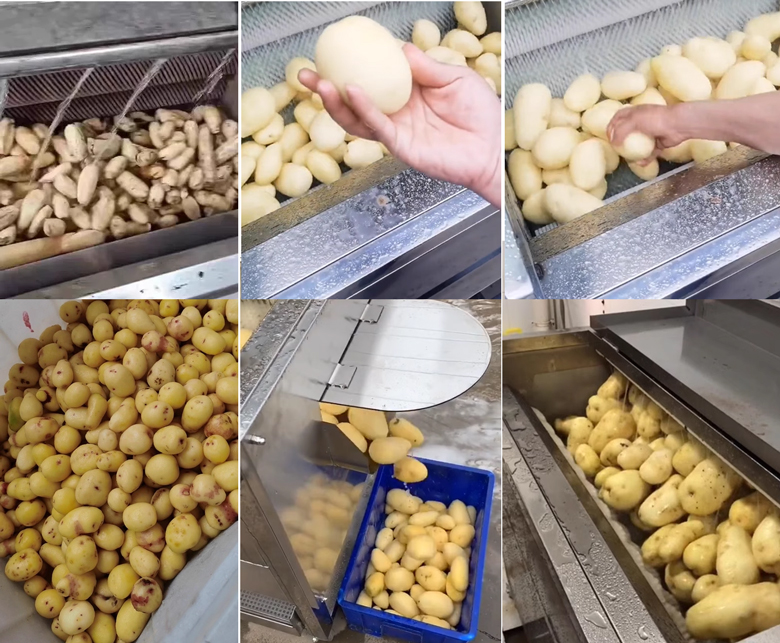 Thực tế khách hàng sử dụng máy cạo rửa củ quả CX100