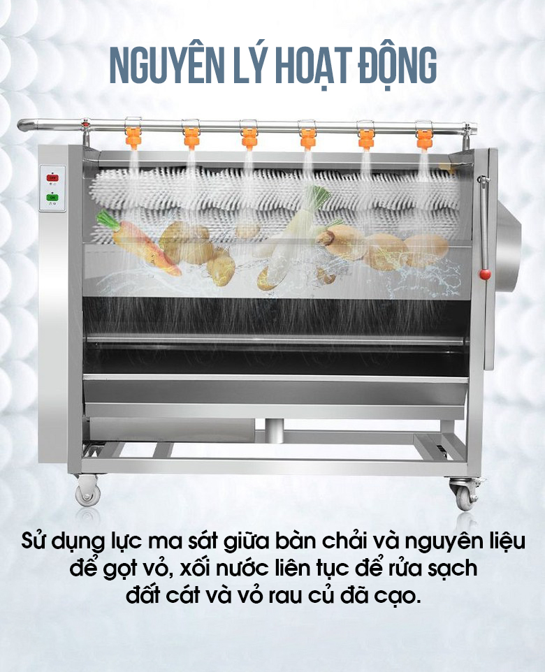 Nguyên lý hoạt động của máy cạo rửa củ quả CX100