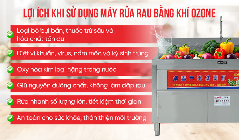 Lợi ích của việc sử dụng máy rửa rau bằng khí ozone 