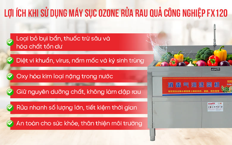 Lợi ích khi sử dụng máy sục oxzone rửa rau quả công nghiệp