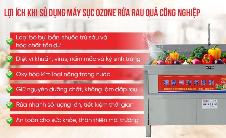 Lợi ích khi dùng máy sục ozone rửa rau quả