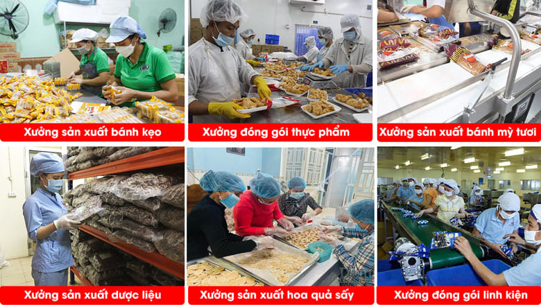 Phù hợp với nhiều cơ sở chế biến