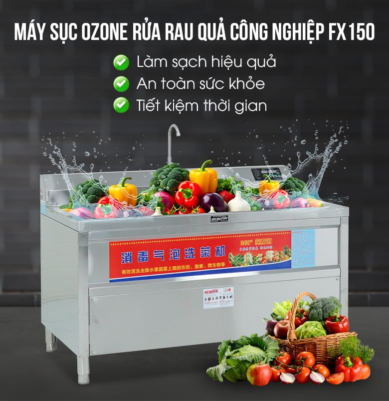 Máy sục ozone rửa rau quả công nghiệp FX150