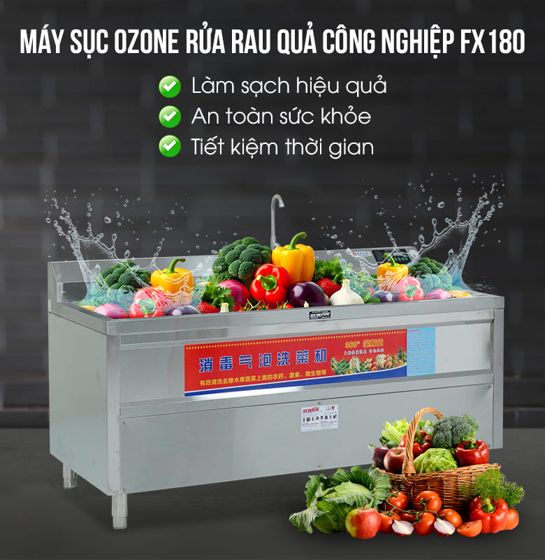 Máy sục ozone rửa rau quả công nghiệp FX180