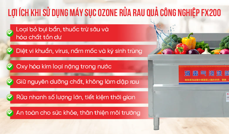 Lợi ích khi dùng máy sục ozone rửa rau quả công nghiệp FX200