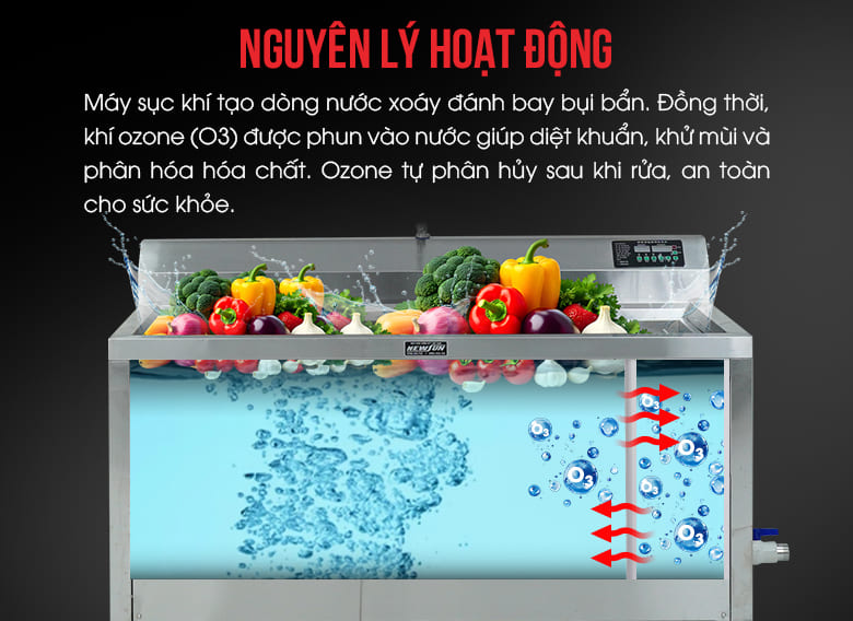 Nguyên lý hoạt động của máy rửa rau bằng khí ozone diệt khuẩn và khử trùng
