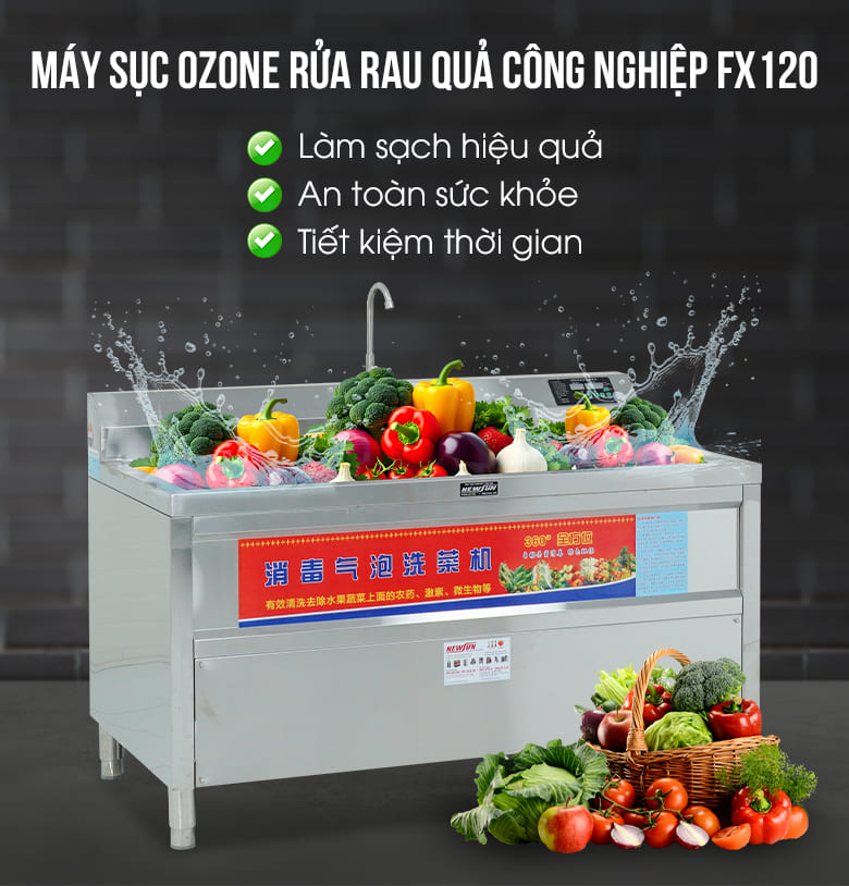 Máy sục ozone rửa rau quả công nghiệp FX120
