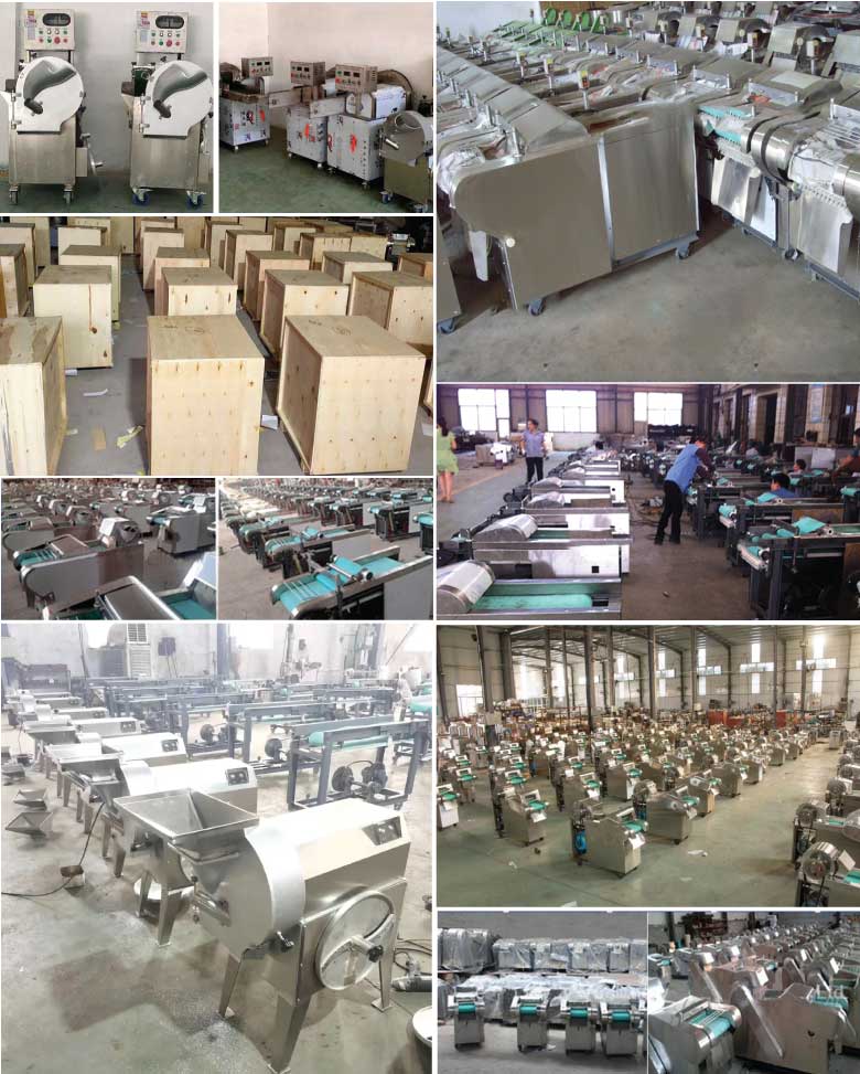 Hình ảnh tổng kho phân phối máy thái rau củ công nghiệp