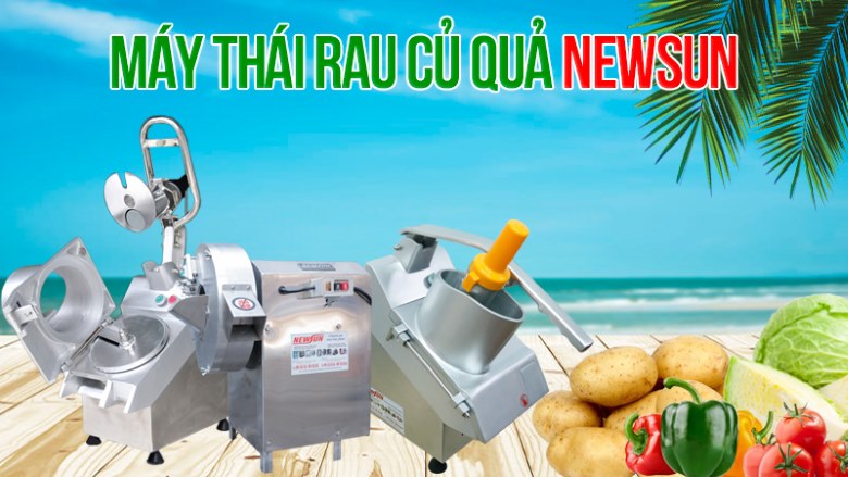 Máy thái rau củ quả NEWSUN 
