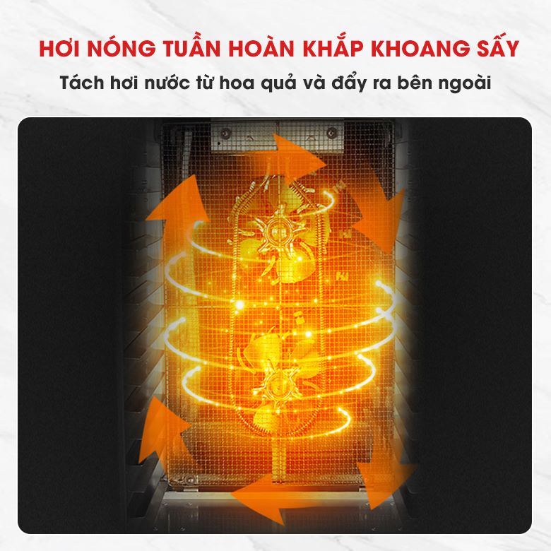 Nguyên lý hoạt động của máy sấy trái cây NEWSUN