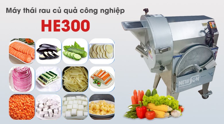 Máy thái rau củ quả HE300 