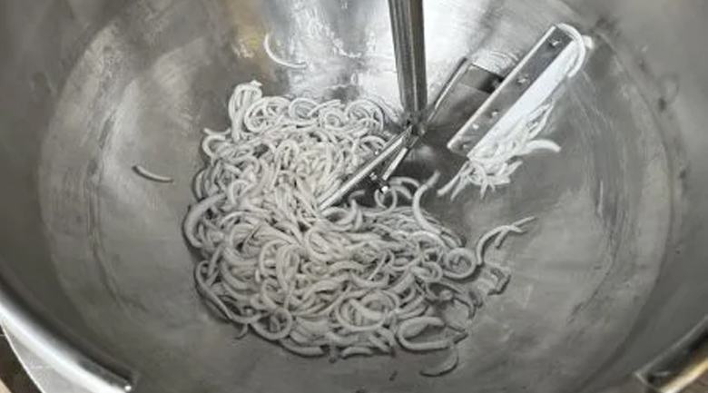 máy sên mứt điều chỉnh