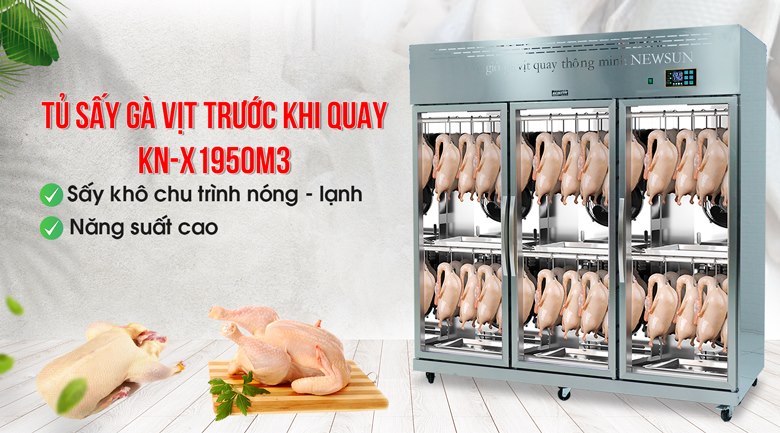 Tủ sấy gà vịt trước khi quay KN-X1950M3