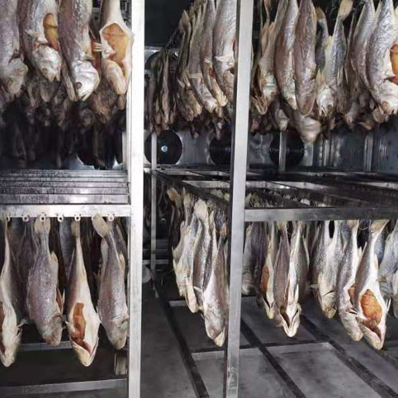 Xem ngay 5 dòng máy sấy cá khô được ưa chuộng hiện nay